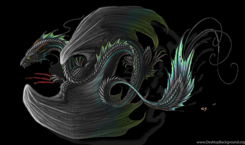 Black Dragon High Definition Wallpapers 10108   Amazing Wallpaperz