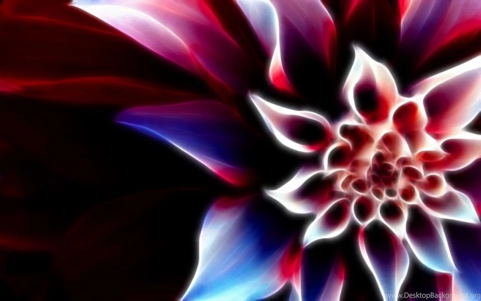 Interesting Flower Widescreen Wallpapers