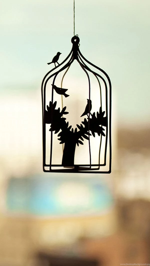 Download Latest iPhone 5 HD Wallpapers Bundle