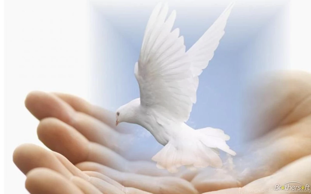 Dove Of Peace Peace & Love Revolution Club Wallpapers (25246250 ...