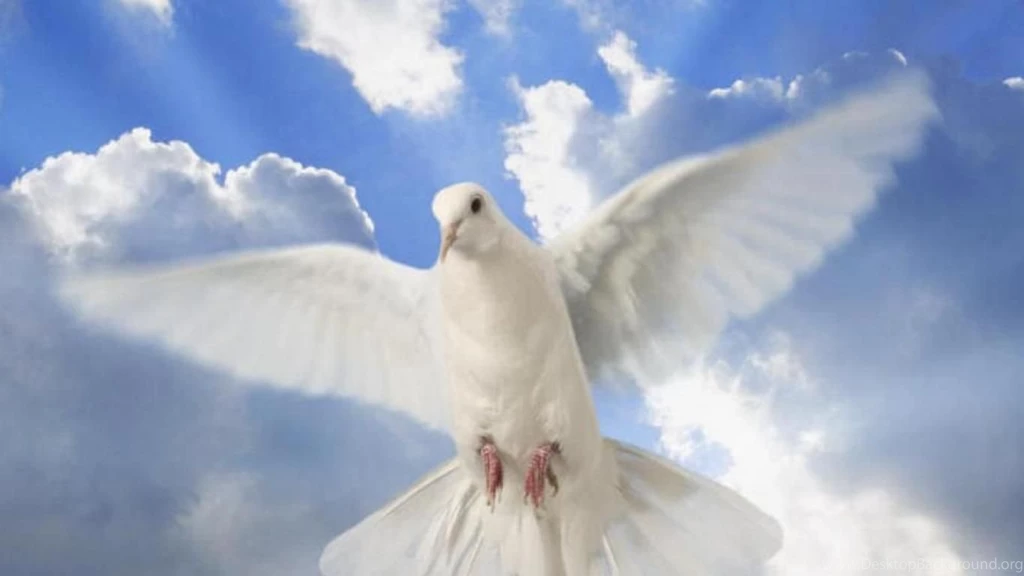 PEACE DOVE AS A BIRTHDAY GIFT FOR MY SWEET FRIEND ANCA ANCASIMONA ...