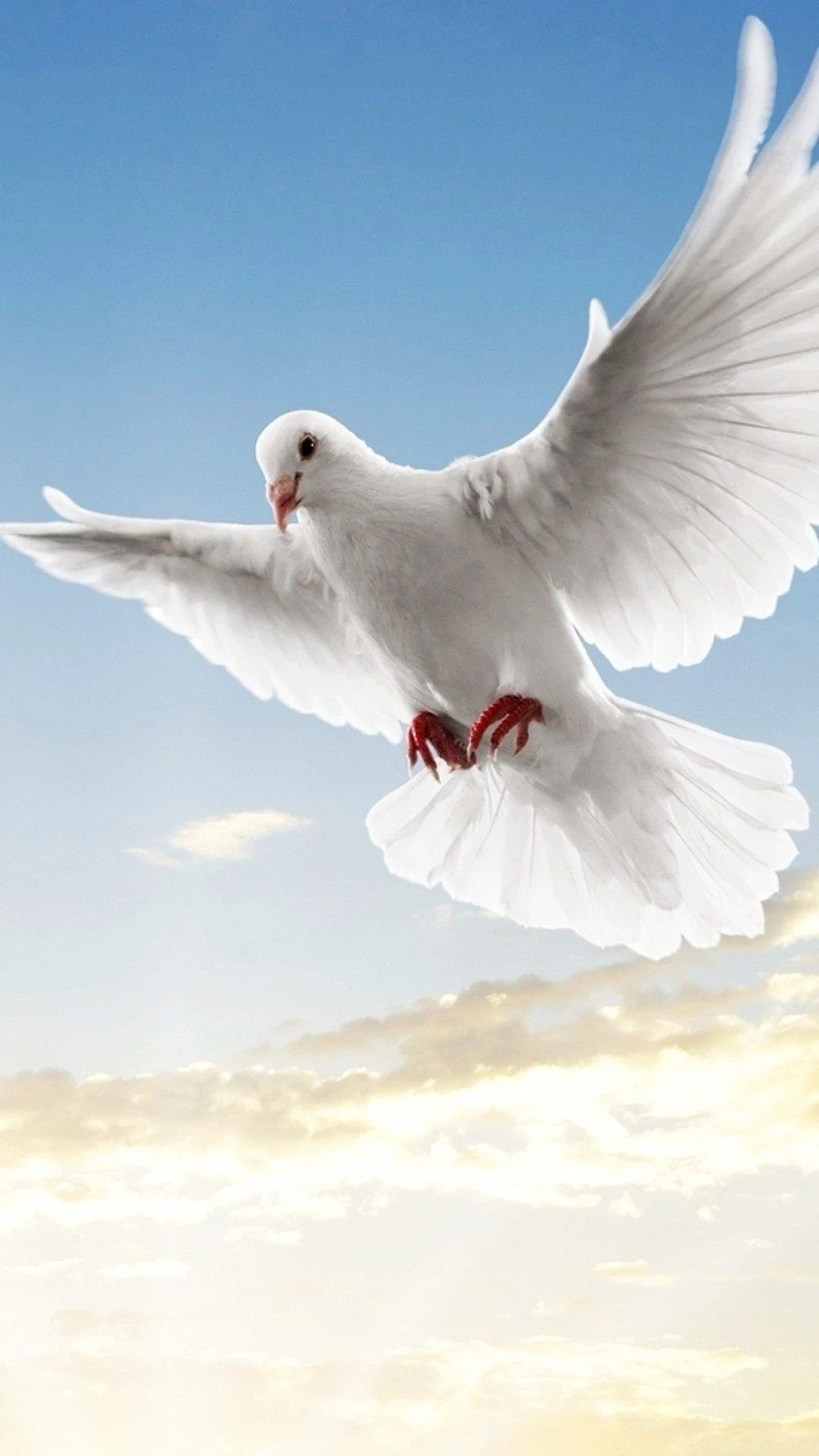 Wallpapers Full Hd 1080 X 1920 Smartphone Peace Symbol Dove   1080 ...