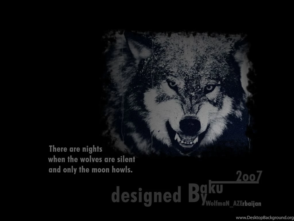 Wolf Wallpapers By NamfloW On DeviantArt