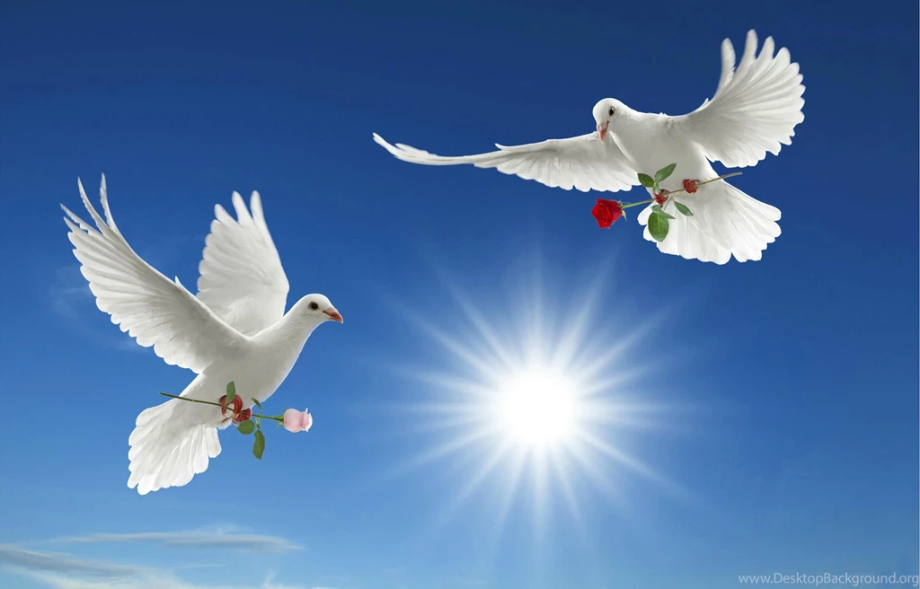 LOVE AND PEACE SPECIAL DELIVERY WALLPAPER (