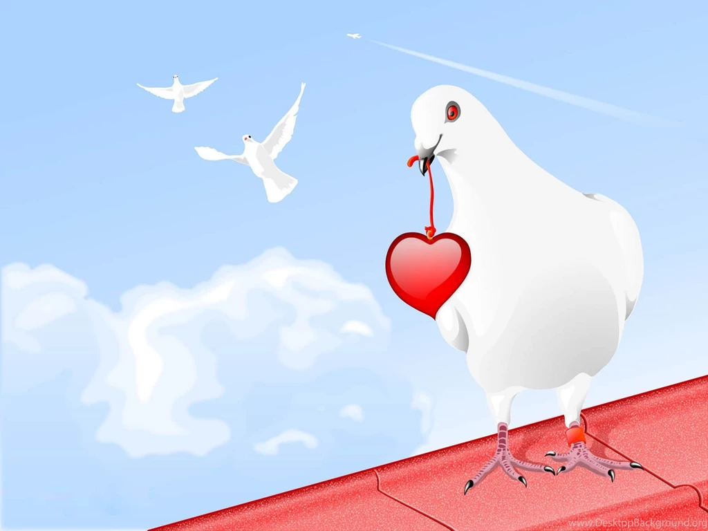 Dove With Heart Wallpaperss HD