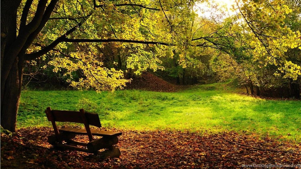 A Collection Of Awesome Places And Strange Things Gallery ...