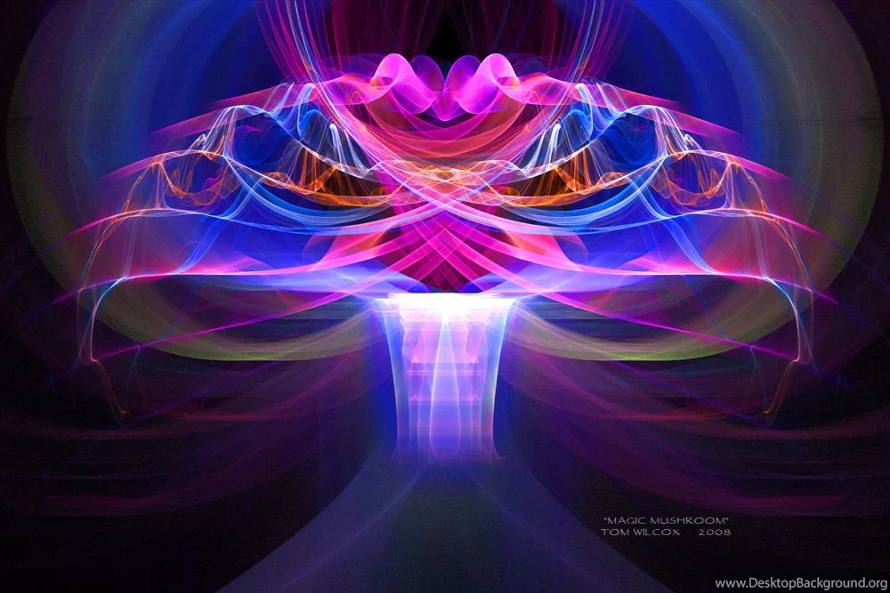 Magic Mushroom By TomWilcox On DeviantArt