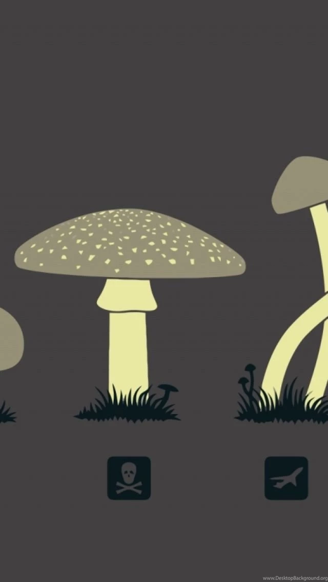 Magic Mushrooms iPhone 5 Wallpapers