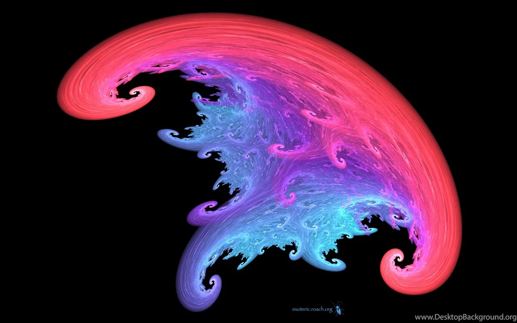 Magic Mushroom 19 Wallpapers By Elizabeth