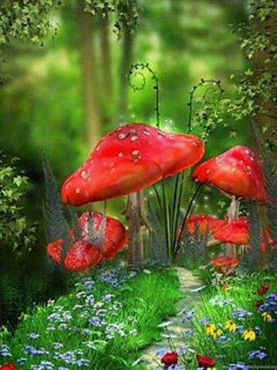 Magic Mushroom Wallpapers Imgtagram