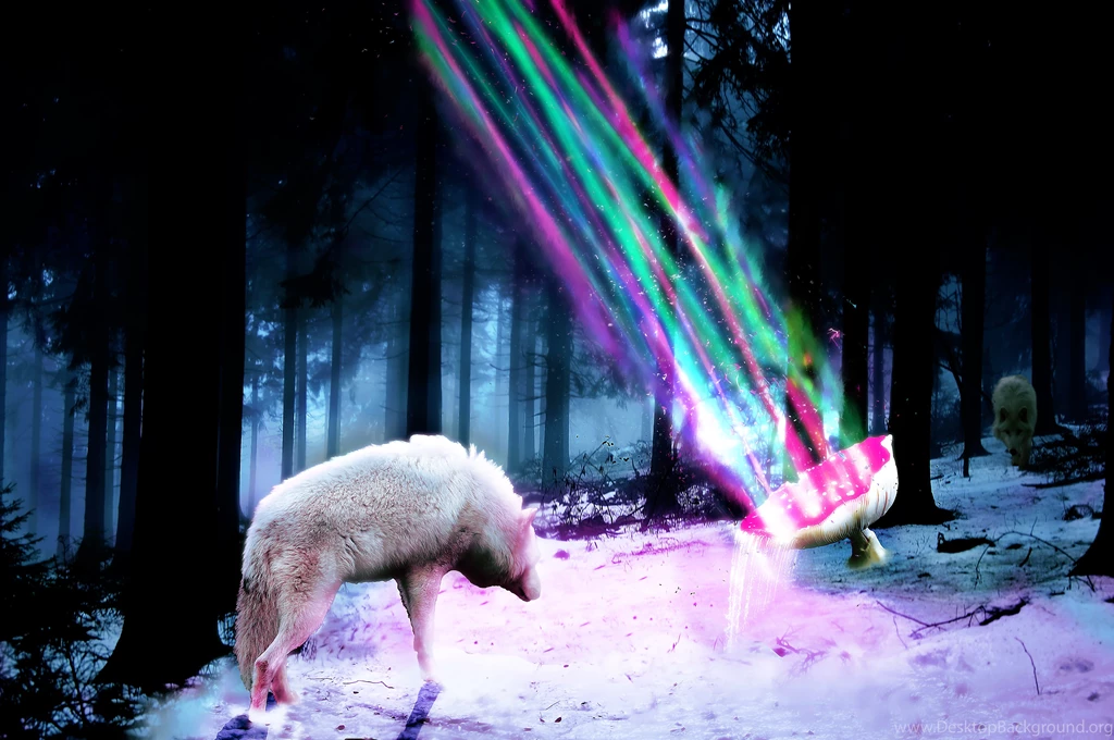Zak's Forest Magic Mushroom 01 By Z Designs On DeviantArt