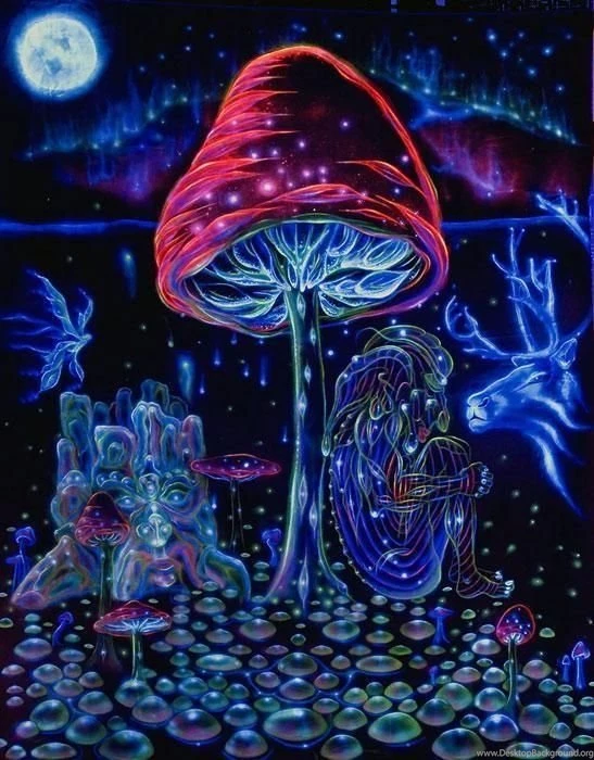 Psychedelic Mushroom