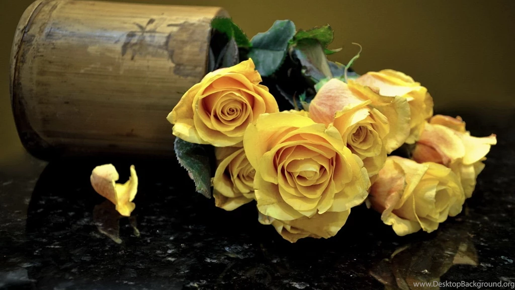 Yellow Cute Rose Flowers Best Wallpapers