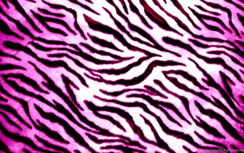 Zebra Print Wallpapers
