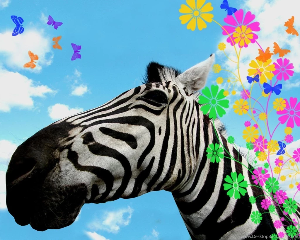 Zebra Desktop Wallpapers Wallpapers Cave