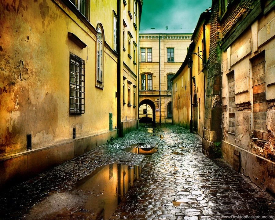 1600x571px Amazing Oasis Desert