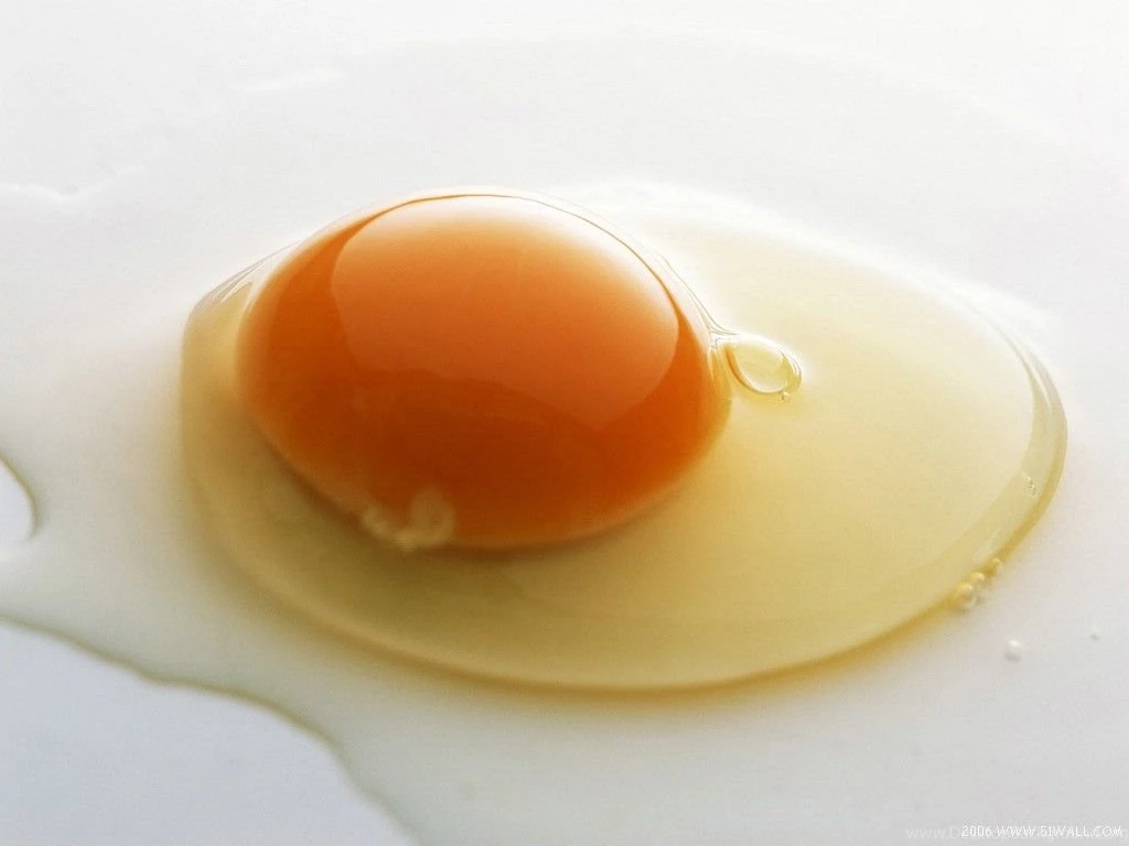 Culinary Best Quality Fried Egg HD Wallpapers.jpg