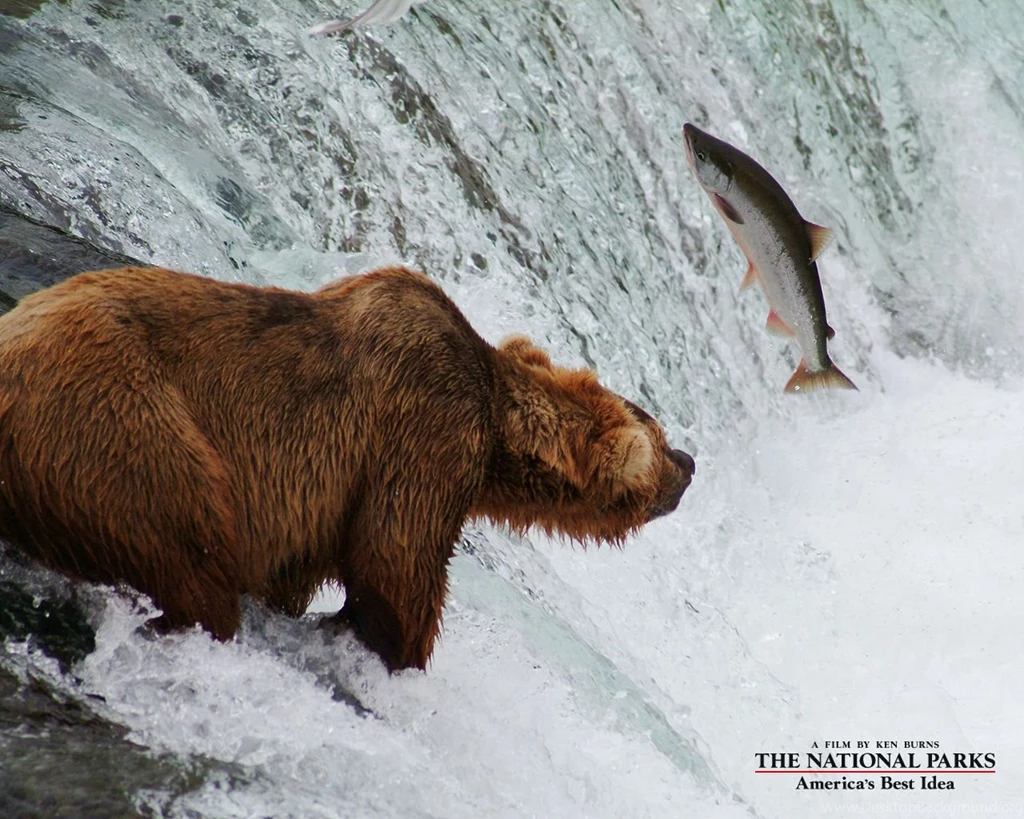 The National Parks: America's Best Idea: Download Wallpapers