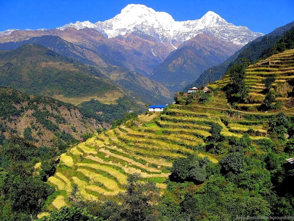 Nepali Landscape