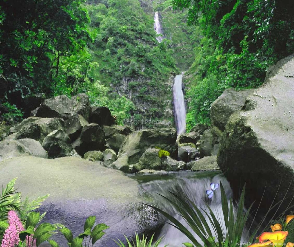Wallpapers Bg Wallpapers Screensavers Tropic Waterfall