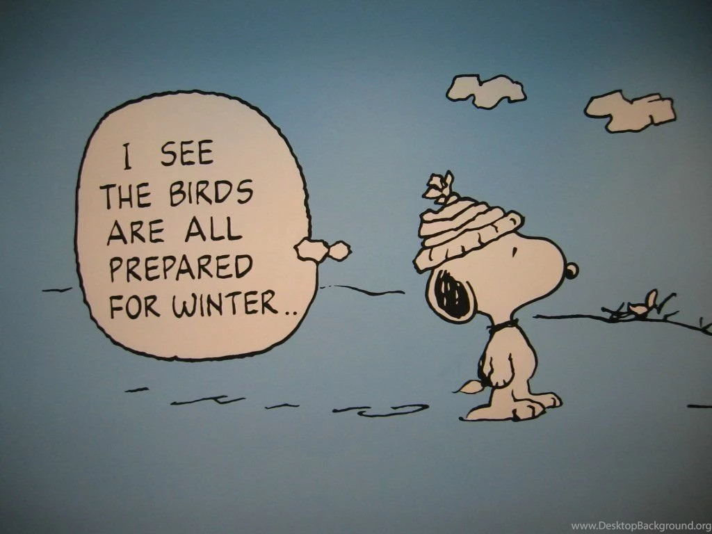 Snoopy HD Wallpapers For Mac Cartoons Wallpapers
