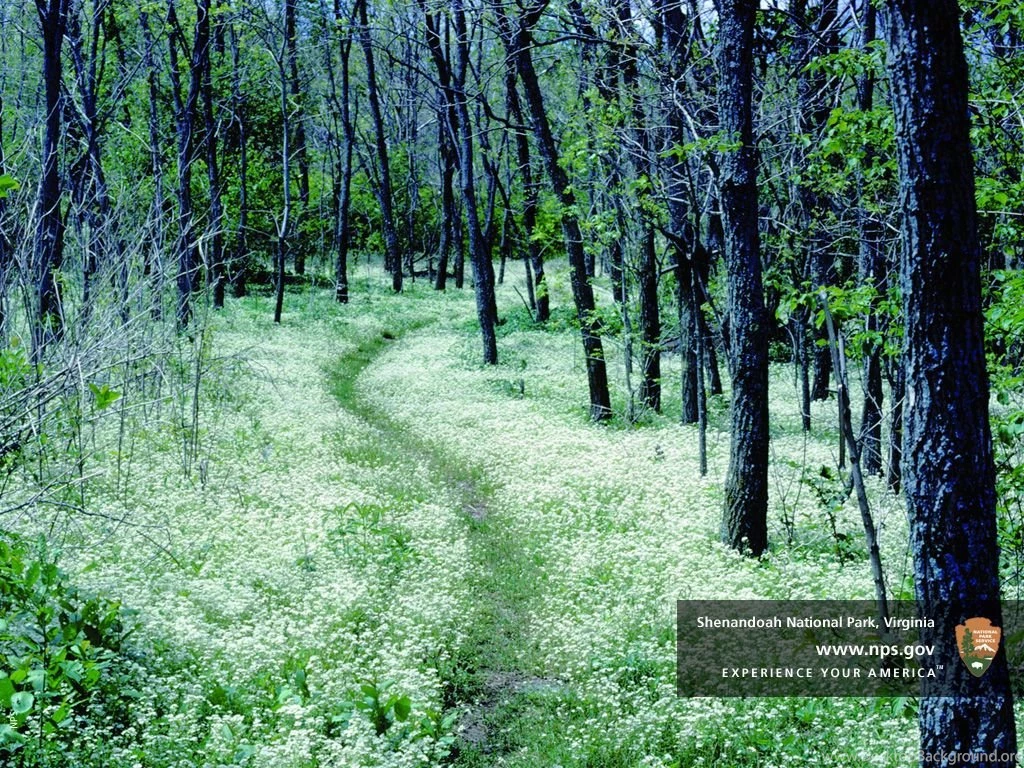 Appalachian Trail Wallpapers   Buscar Con Google