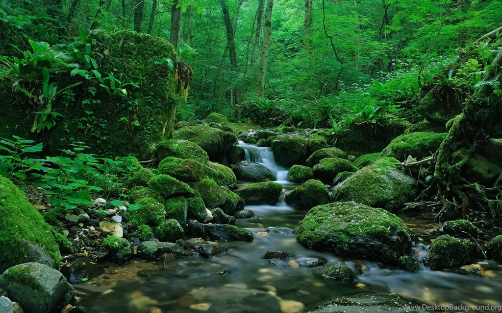 InterfaceLIFT Wallpaper: Silence