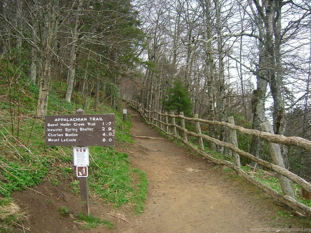 Appalachian Trail Georgia