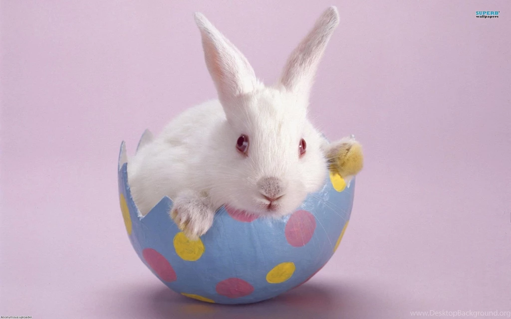 Easter 48 1920x1200.jpg