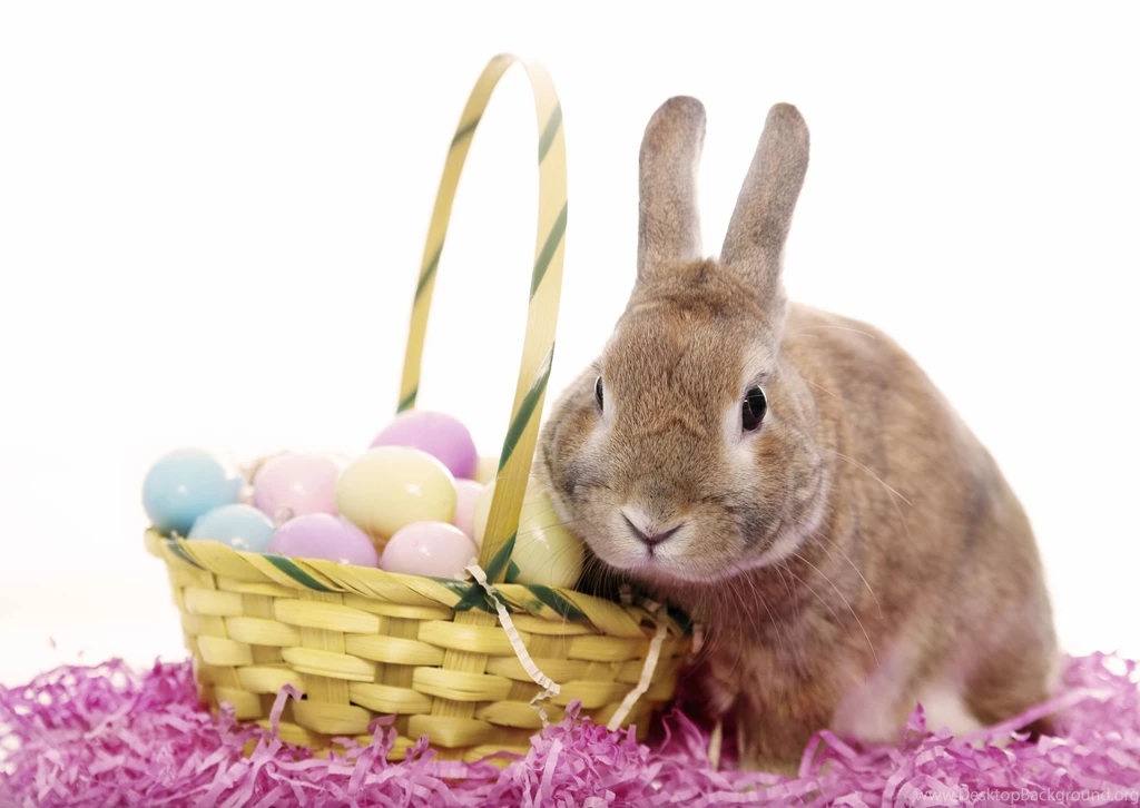 7467_Sweet grey bunny and Easter Eggs HD wallpaper.jpg