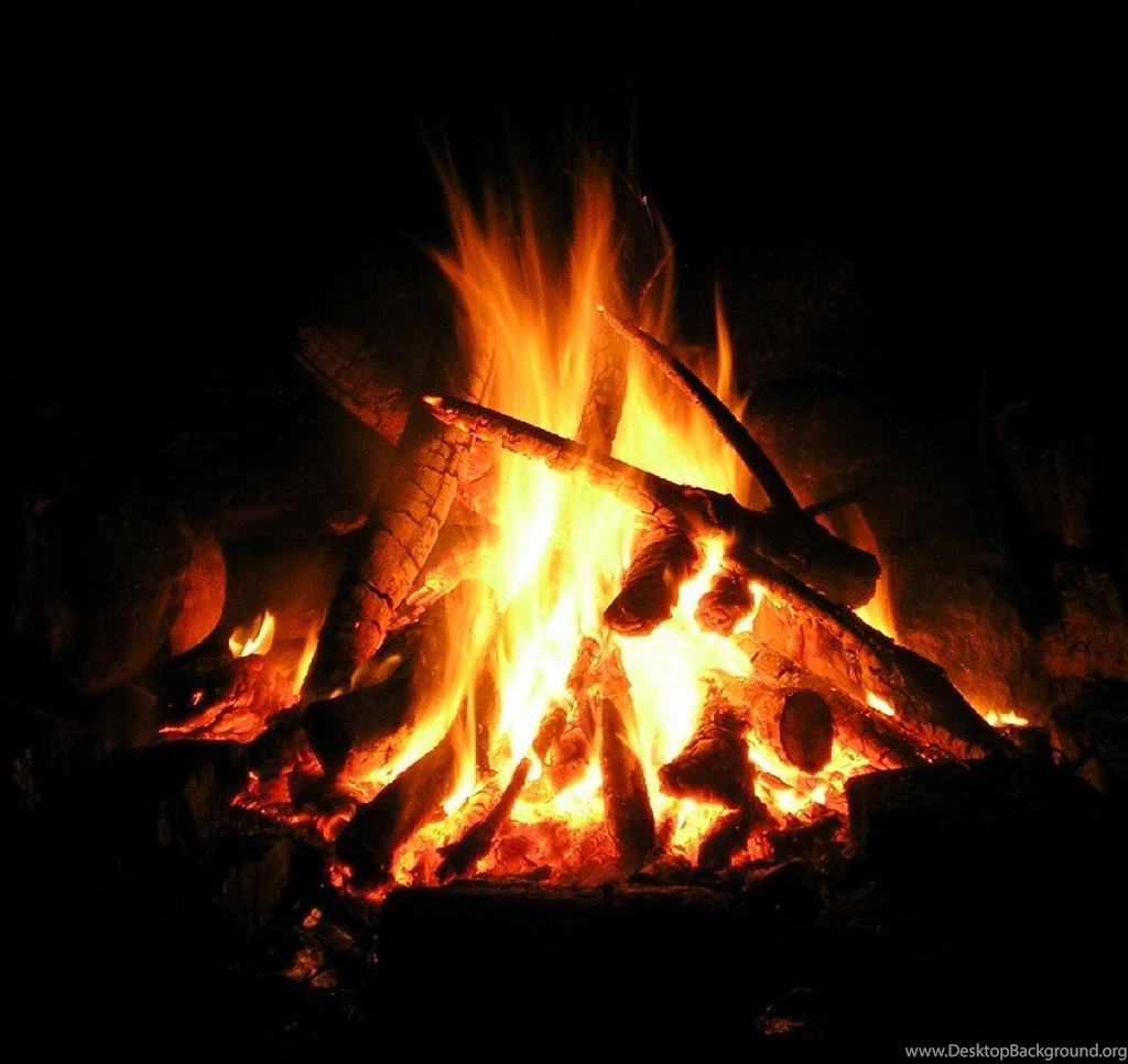 Wallpapers Pictures Photos: Training Or Campfire Pictures