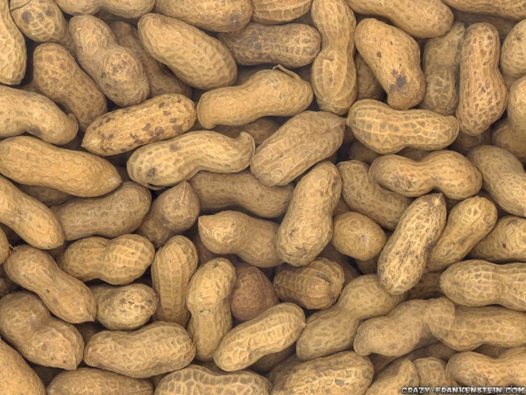 Nuts And Seeds Food Wallpapers Crazy Frankenstein