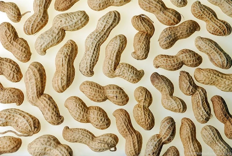 109 Peanut Wallpaper.jpg Photo Reimar Gaertner Photos At Pbase.com