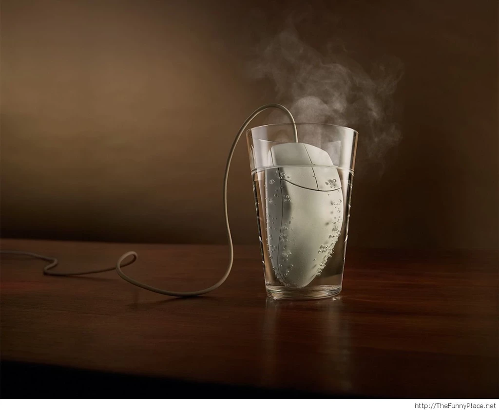 Best top funny wallpapers humor wallpaper pictures backgrounds 23 ...