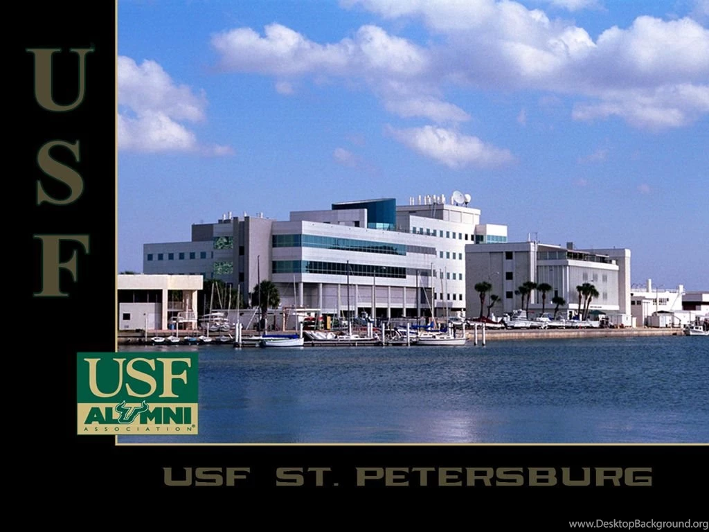 Kosove Society   USF Wallpapers