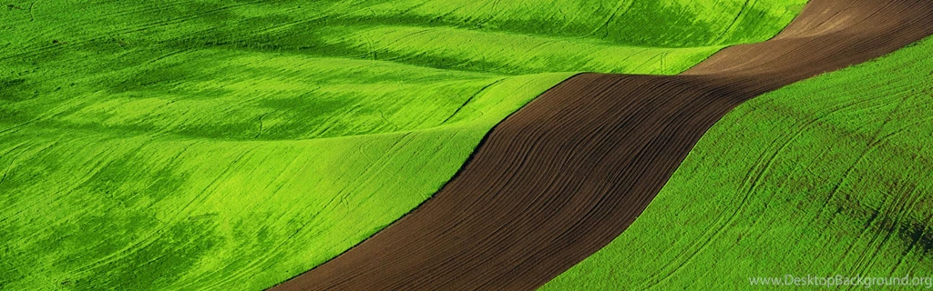 Windows 8 Rtm Full Set Of Lock Screen And Wallpapers Windows 8 ...