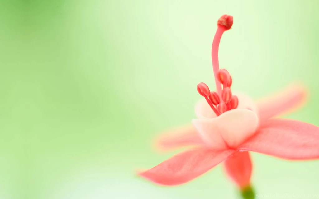 Wndows 8 Rtm Wallpapers (13)