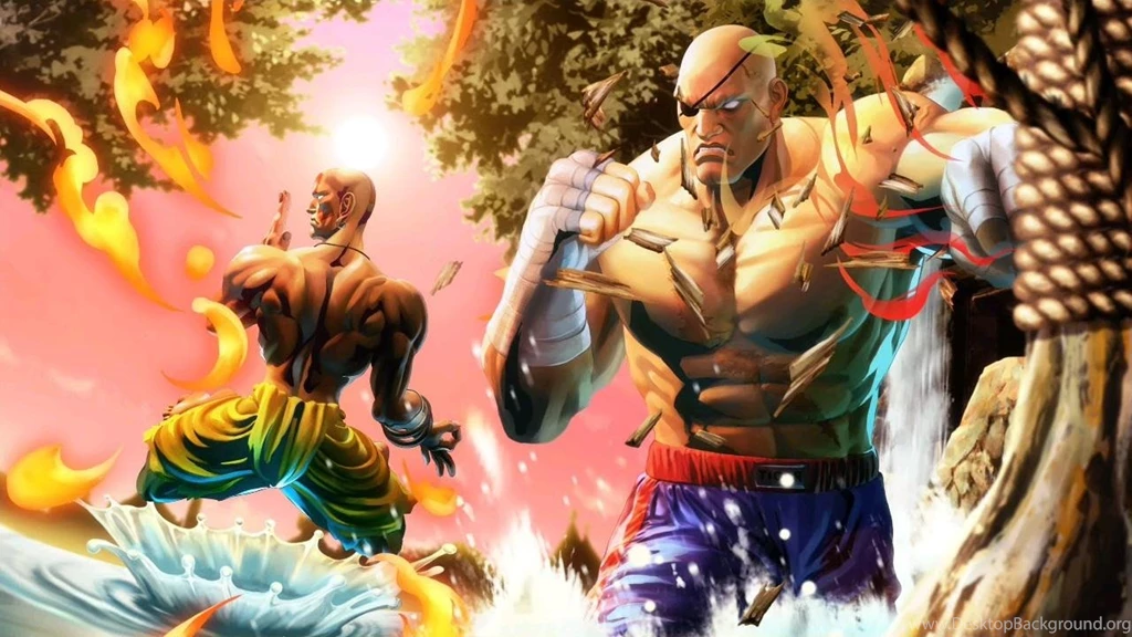 DHALSIM SAGAT WALLPAPER (