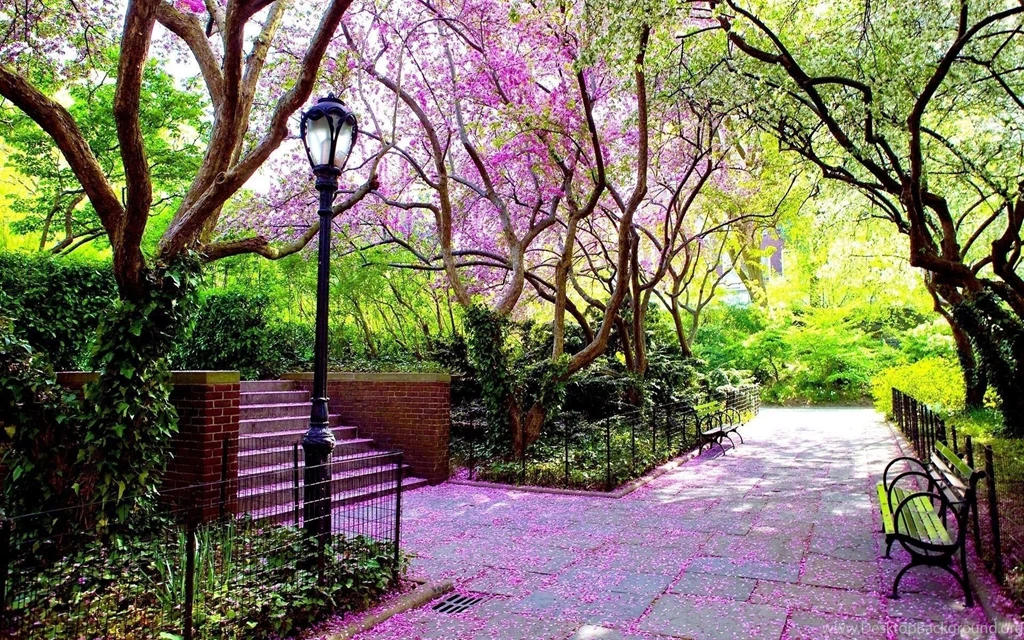 Flowers Park Tree Chairs Natural HD Wallpapers New HD Wallpapers