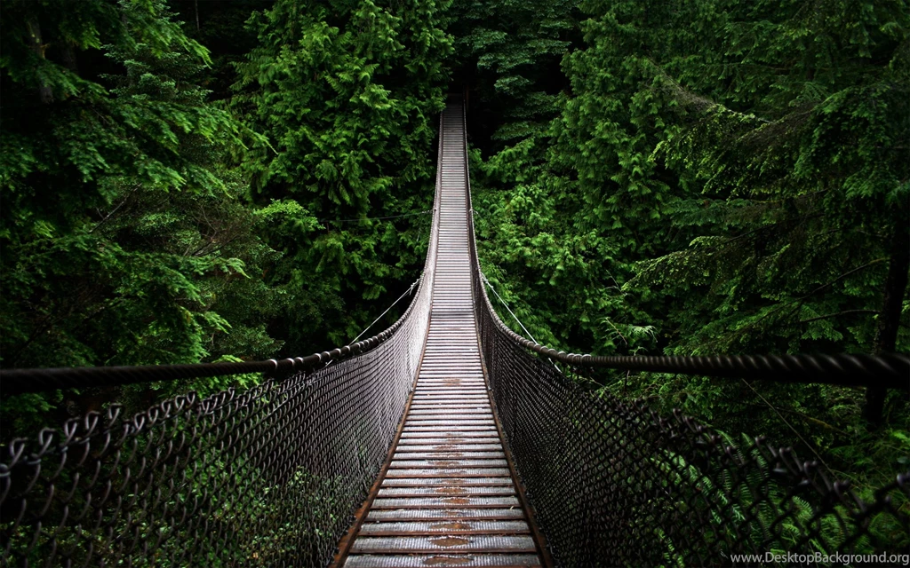2560x1600px Natural Images H D Free Wallpapers
