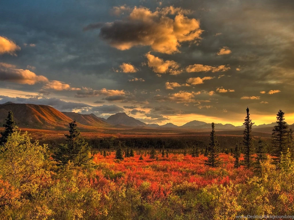 Wallpapers Nature HD 2015