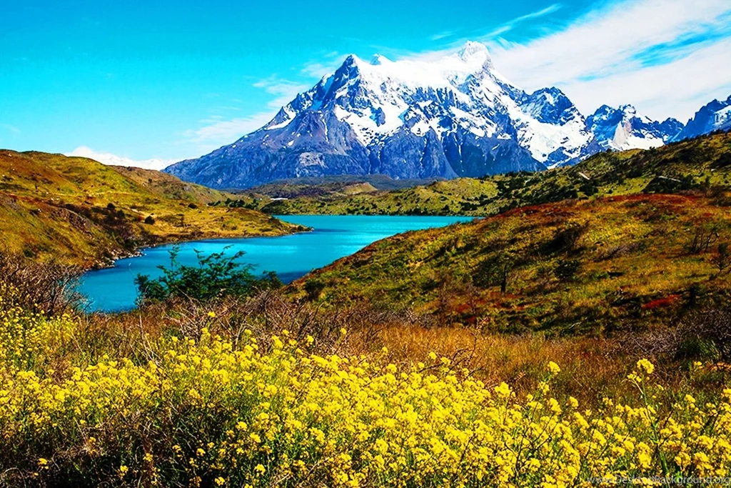 Hd Nature Wallpapers, View, Flowers, Green, Field, Nature ...