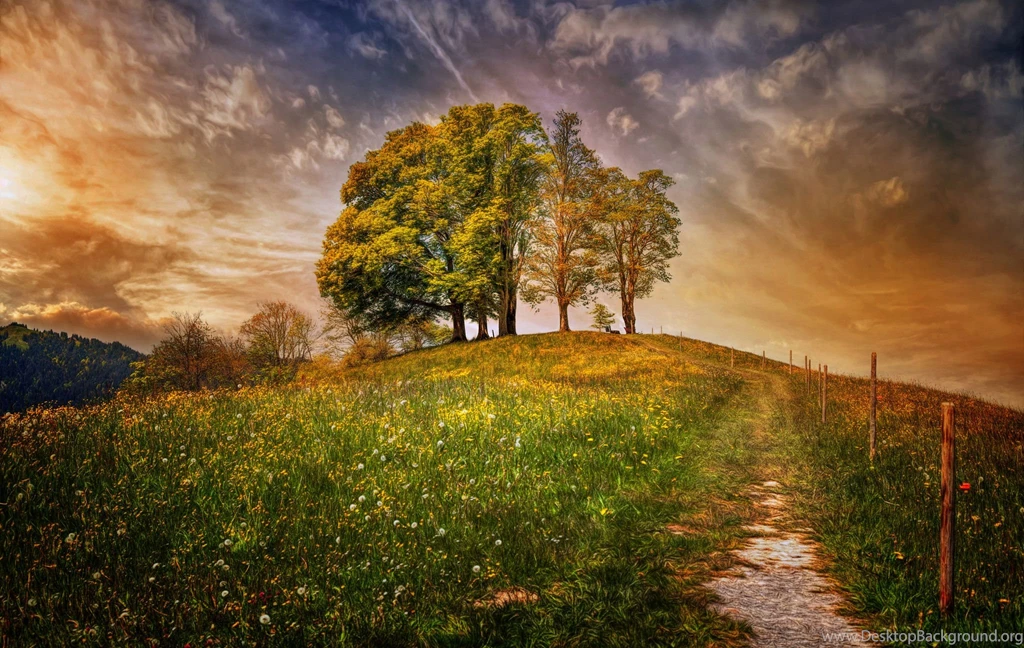 Awesome Nature Images, Hd Images, Nature, Landscape, Natural ...