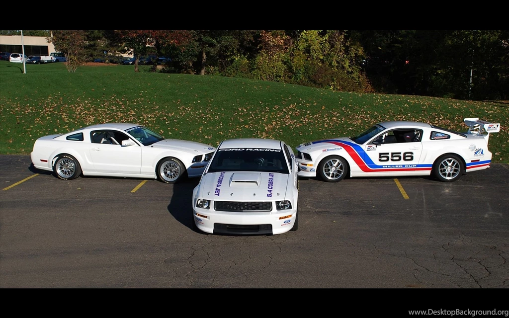 7 Ford Mustang Cobra Jet HD Wallpapers