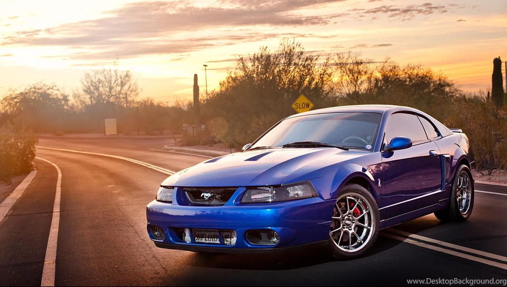 SVT Cobra HD Wallpapers