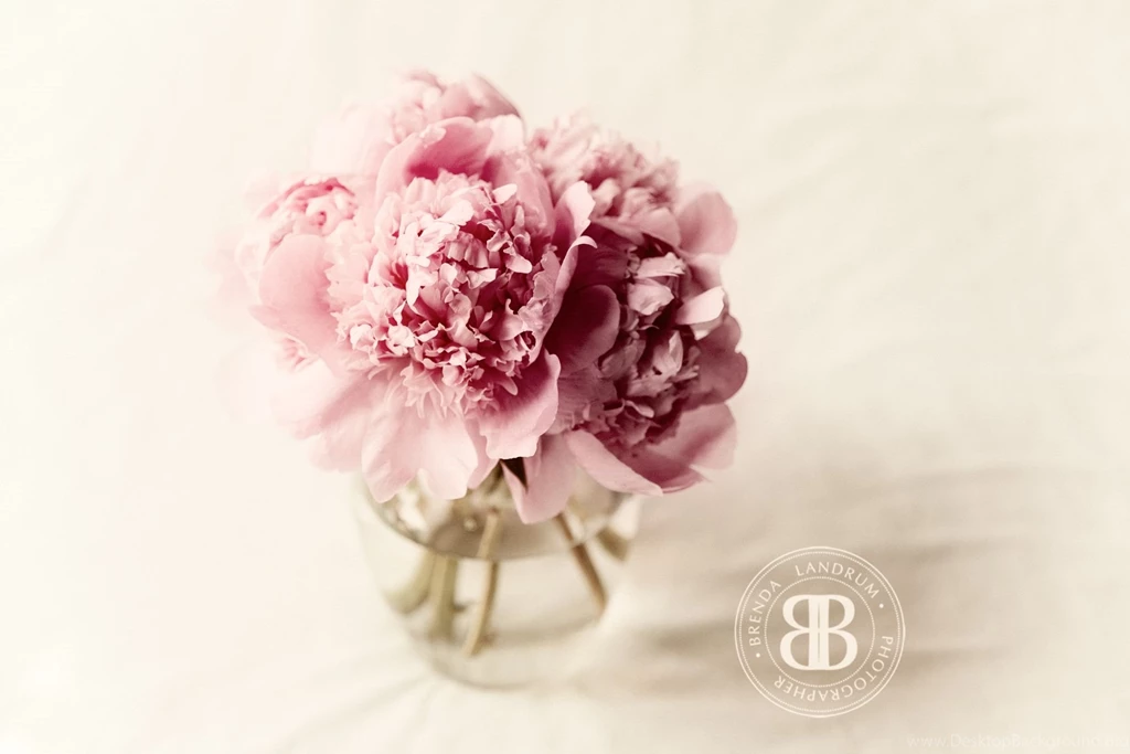 2012 February Desktop Wallpapers