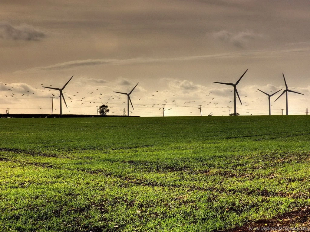 Windmill   Wallpaper.
