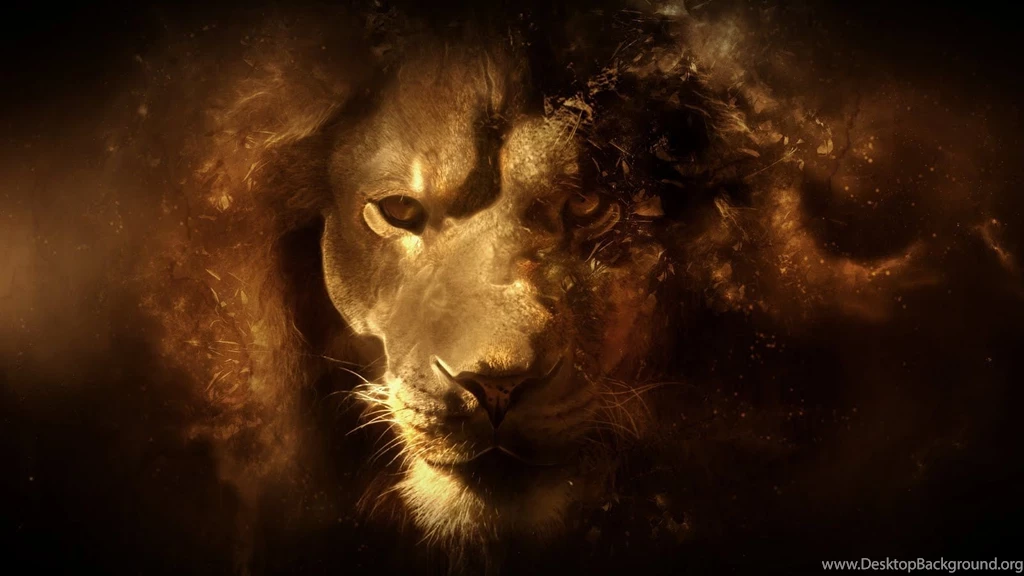 Lion Hd Wallpapers Wallpapers HD Wide