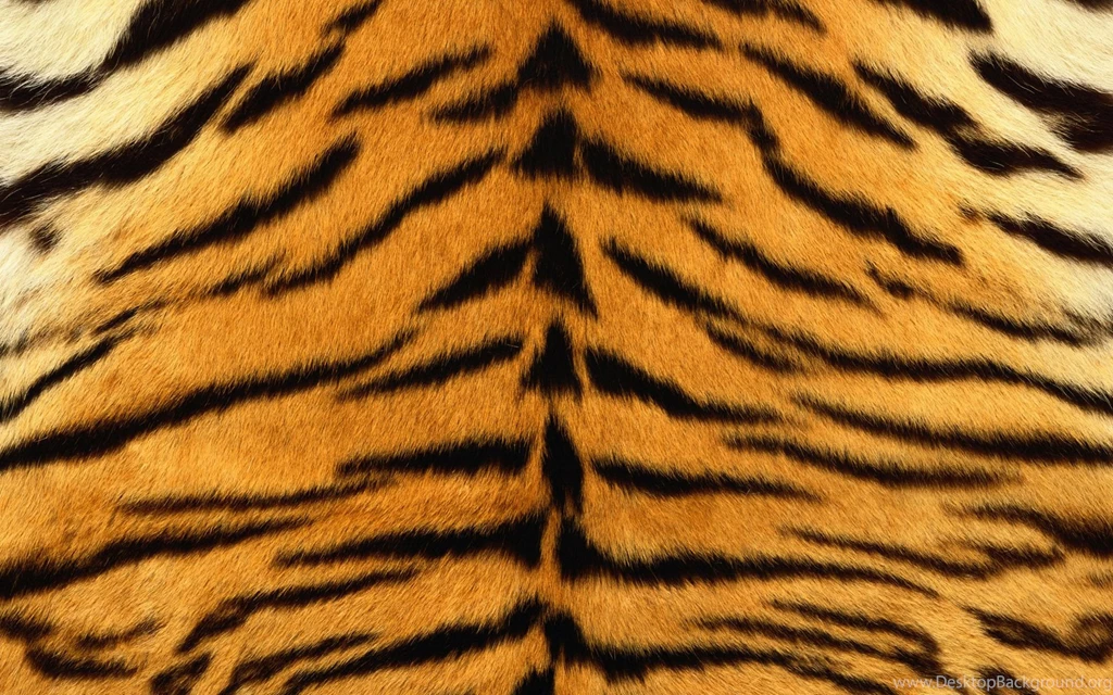 Tiger print wallpaper.jpg