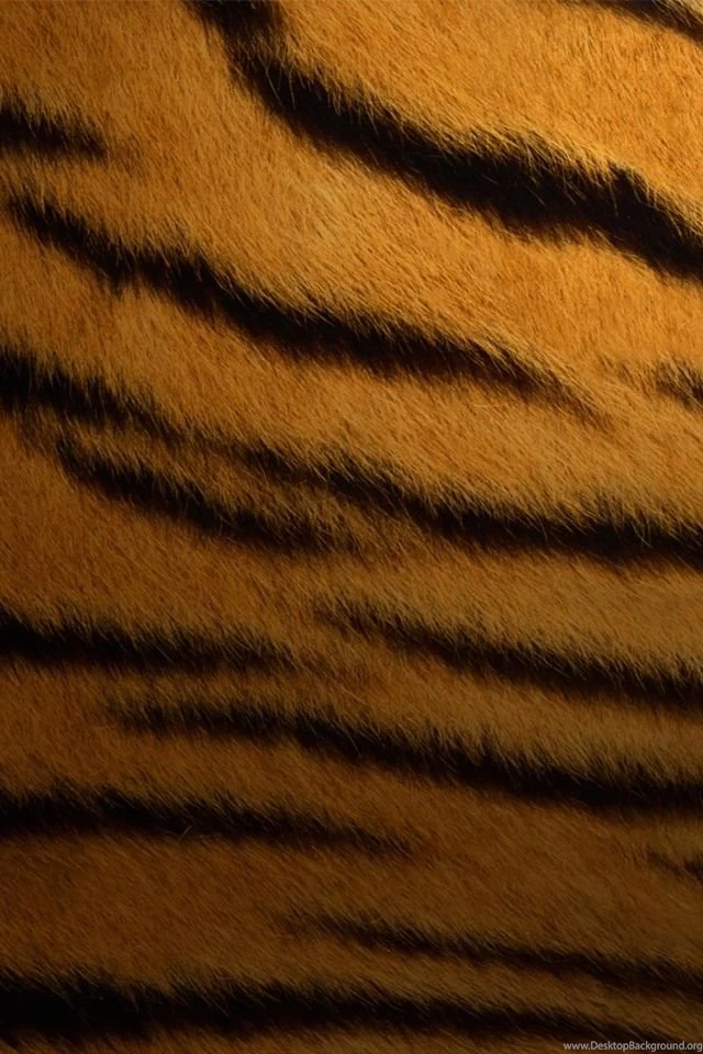 Iphone4 Tiger Print.jpg